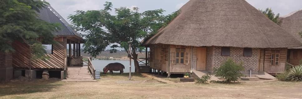 Tembo Safari Lodge Katunguru المظهر الخارجي الصورة