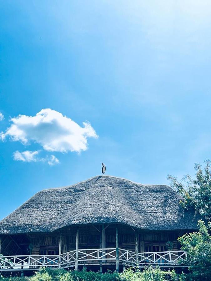 Tembo Safari Lodge Katunguru المظهر الخارجي الصورة