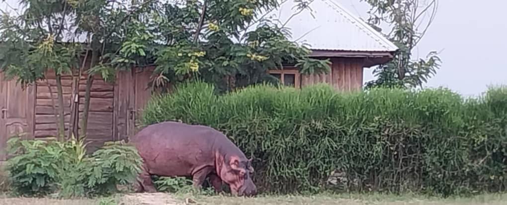 Tembo Safari Lodge Katunguru المظهر الخارجي الصورة