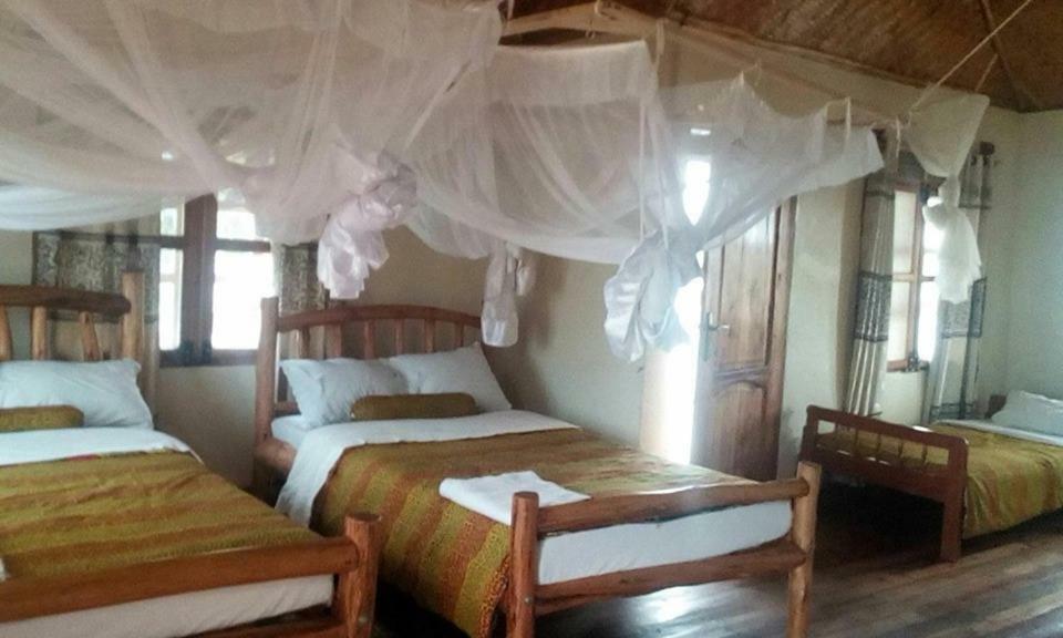 Tembo Safari Lodge Katunguru المظهر الخارجي الصورة