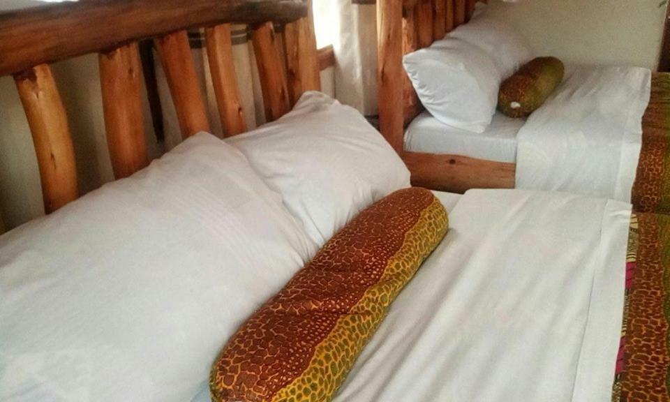 Tembo Safari Lodge Katunguru المظهر الخارجي الصورة
